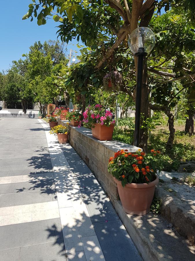 상트아그넬로 Casa Aristide B&B 외부 사진
